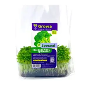 Growing microgreens broccoli from Growa, view 1