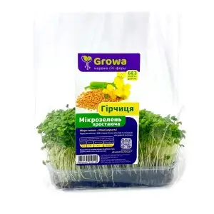 Зростаюча мікрозелень Гірчиці в контейнері від Growa, вигляд 1