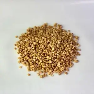 Red lentil sprouts from Growa, view 1