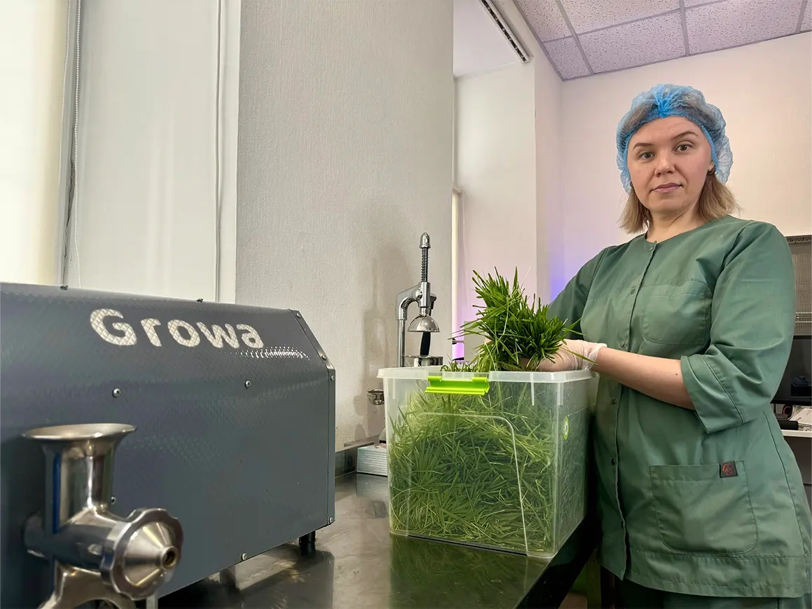 Паростки Мікрозелені ячменю перед віджимом соку Барлейграс Growa