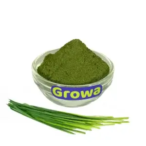 Порошок із паростків пшениці Вітграс від Growa